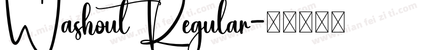 Washout Regular字体转换